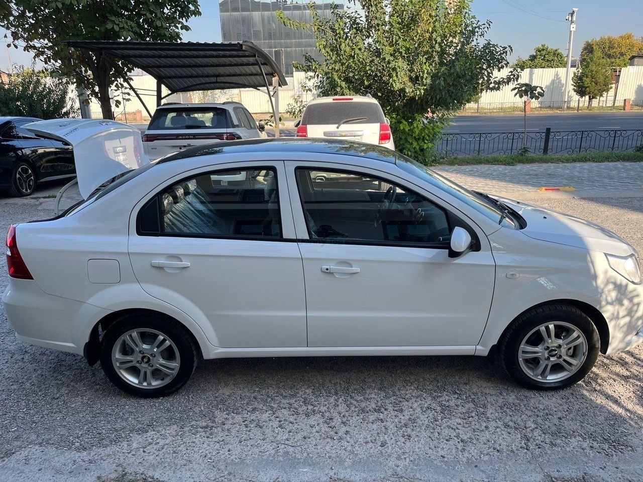 Nexia sotiladi, Olmazor — 3