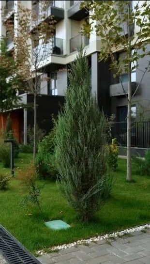 Uchtepa, Soy bo‘yi: 2 xonali kvartira ijaraga, 50 m² — 3