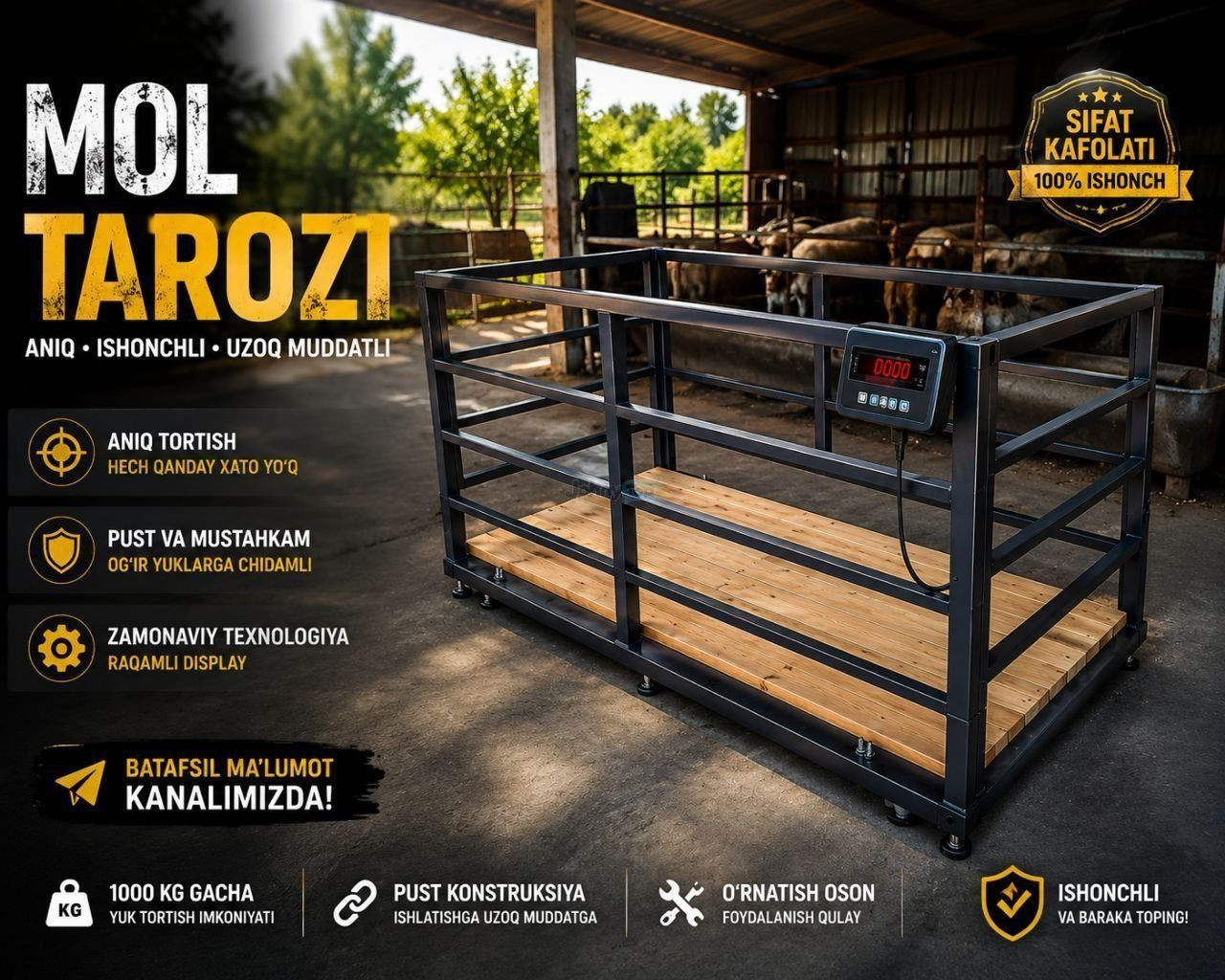 Chorva mollari uchun elektron tarozi sotiladi, Yangiyo‘l — 3