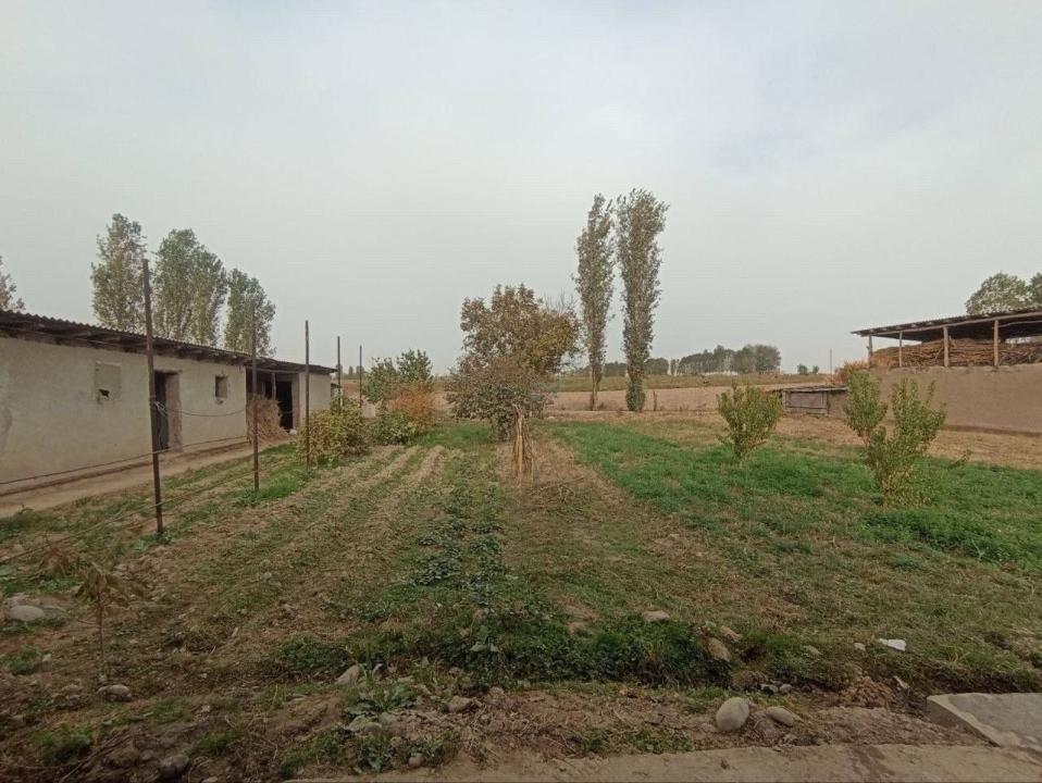 Yangiyo‘l shahrida 12 sotixli 4 xonali uy sotiladi