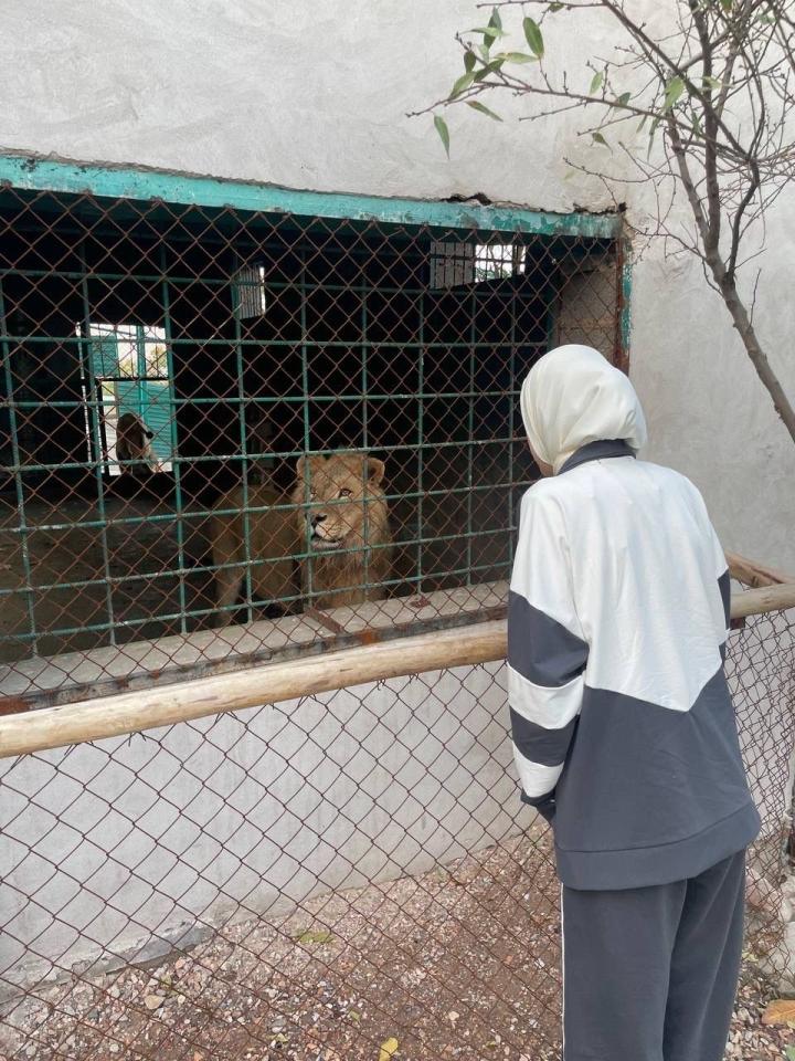 Ikki qismli sport kostyumi sotiladi, Mirzo Ulug‘bek